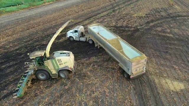 УБОРКА КУКУРУЗЫ НА СИЛОС. АМЕРИКА смотреть онлайн