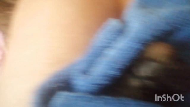 роды мопса без монтажа как есть. первый выпуск смотреть онлайн