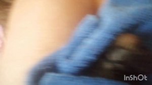 роды мопса без монтажа как есть. первый выпуск