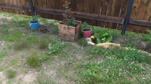 Кашпо из обрезков вагонки