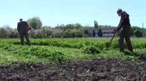 Обзор Мотокосы Husqvarna 128R часть 2