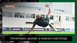 Тренировка «быков» в Нижнем Новгороде