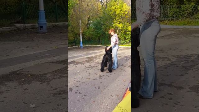 14 октября 2017 г.