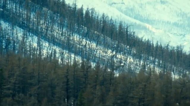 РЕБЯТА СЕМИДЕСЯТОЙ ШИРОТЫ смотреть онлайн