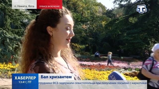 Бал хризантем смотреть онлайн