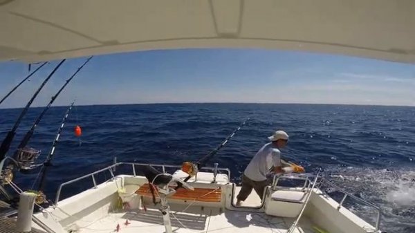 SC-32 トローリング