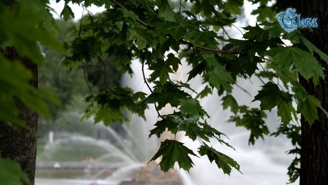 Dimensions 35105 Flowers and Lace готовая работа. Как вышивать спецстежки? Мои замены. Весна в ВДН смотреть онлайн