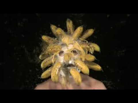 Bananas Exploding on Face смотреть онлайн