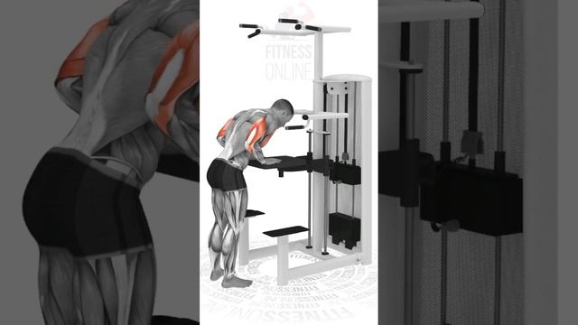 Жим платформы на трицепс в гравитроне/Gravitron Triceps Platform Press смотреть онлайн
