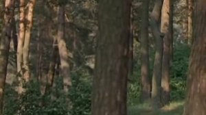 Михаил Боярский  -  Пуркуа па