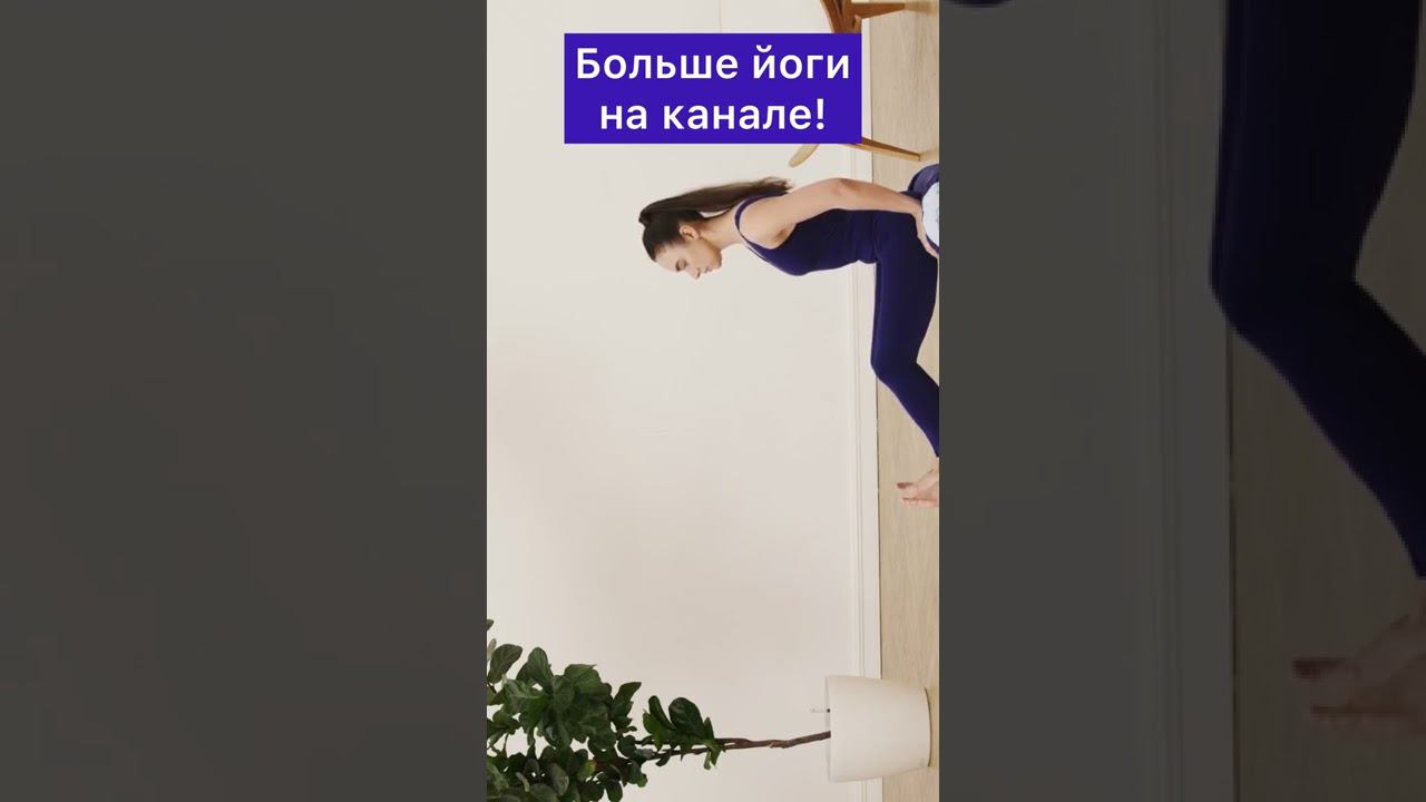 Дандасана #shorts смотреть онлайн