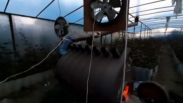 Отопление в теплице булерьян в теплице смотреть онлайн