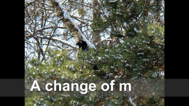 The dust of snow смотреть онлайн