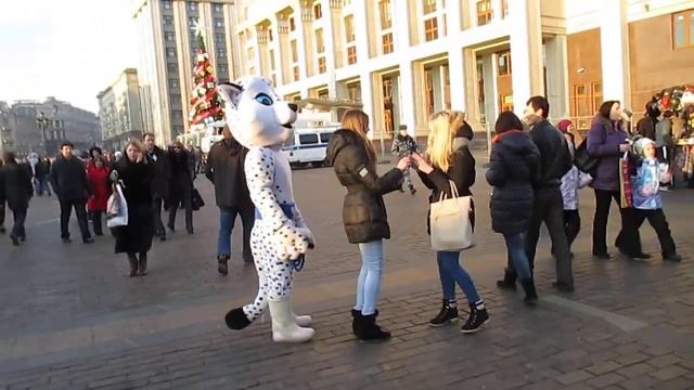 Символы Олимпиады на Манежке смотреть онлайн