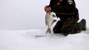 Что нужно сделать,что бы всю зиму ловить трофейных ЛЕЩЕЙ.Волшебная лунка на Сурском водохранилище.
