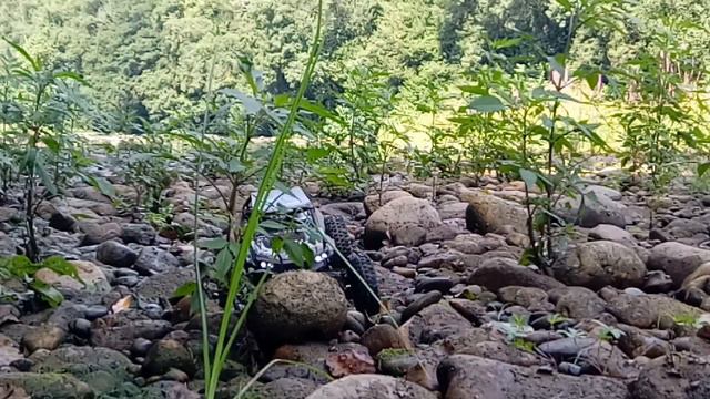 Wltoys 12428-B 1/12 Rtr Speed Crawler Polaris Rzr