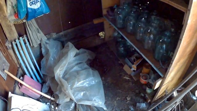 Вспахал Целину!!!(уборка полыни и посадка картошки,на непаханном поле) смотреть онлайн