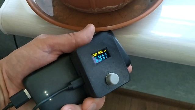 загнивание корней смотреть онлайн