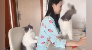 Смешные приколы #54