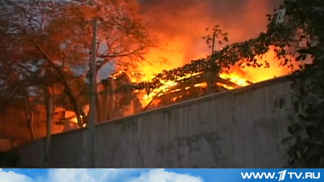 Отношение планеты к человеку стремительно ухудшается. 1tv.ru смотреть онлайн