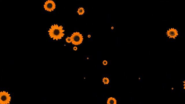 ФУТАЖ "ПОДСОЛНУХИ" смотреть онлайн