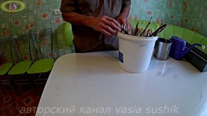 Условия ускоренного проращивания черенков винограда .Как прорастить черенки винограда зимой