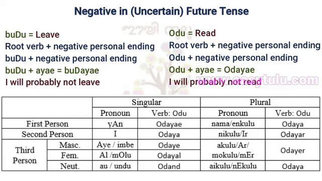 Tulu Lesson 8: Negative and Interrogative in Future Tense смотреть онлайн