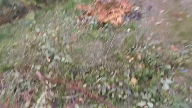 прощание с дачей ( до следующего года ?) дачный участок глубокой осенью смотреть онлайн