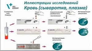 Почему не получается выполнить экспресс-тест?