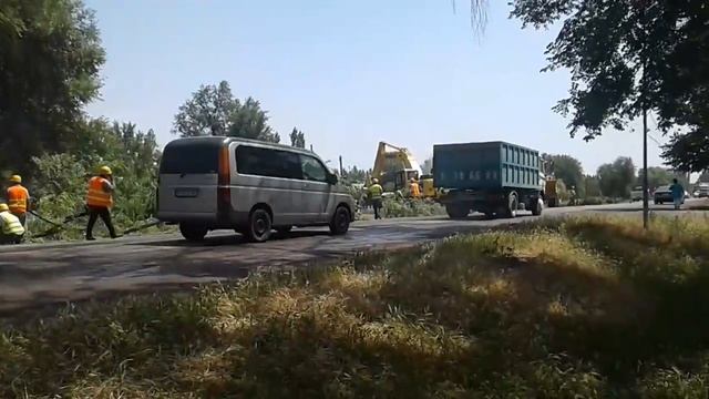 Вырубка деревьев.