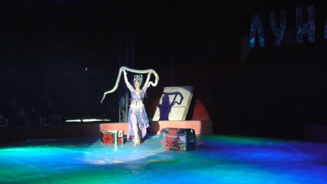 Цирк Шапито в нашем городе! Shapito circus in our city! На арене русский богатырь! смотреть онлайн