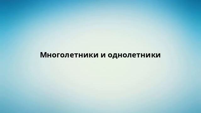 Многолетники и однолетники смотреть онлайн