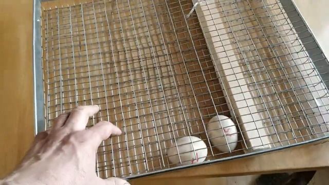 Как уложить яйца в инкубатор. Удобный и безопасный способ. смотреть онлайн