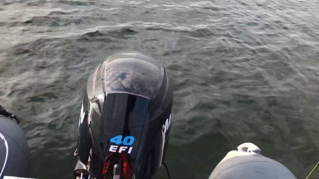 Rib Raptor 440 & Marlin40 EFl.