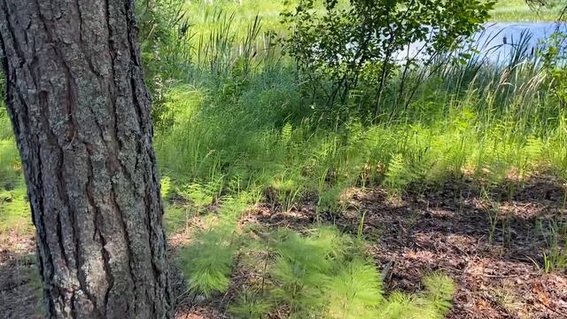 Le Conseil Européen A Rejeté L'initiative De Paix.