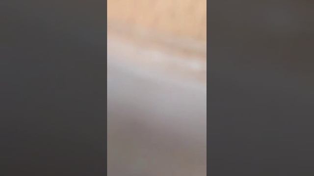 71310 Дрочим и раздеваемся смотреть онлайн