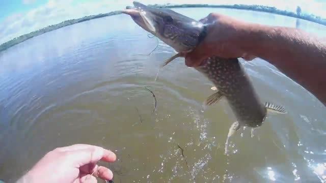 Щука на закидушки в июле Рыбалка на реке Чулым смотреть онлайн