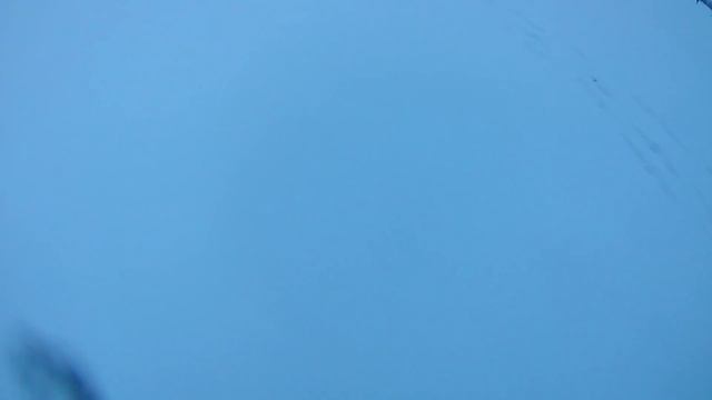 ЛОВЛЯ СУДАКА НА РАТЛИН!) Первый опыт ловли на ратлины.