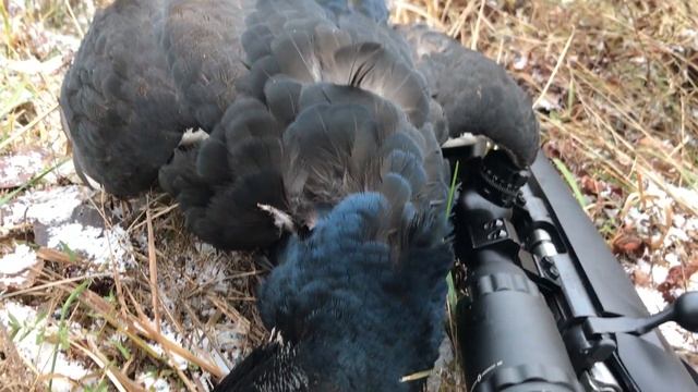 Мужская кухня смотреть онлайн