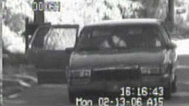Тупые родители смотреть онлайн