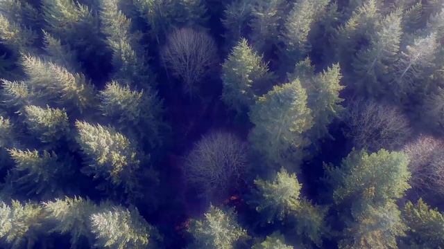 Высшая Цель Жизни | Святое Имя смотреть онлайн