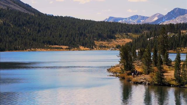 послушайте эту музыку и вам станет легче🌿Расслабляющая музыка для сна + бессонница😴 снятие стресса