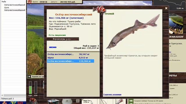 Трофеи 48 смотреть онлайн