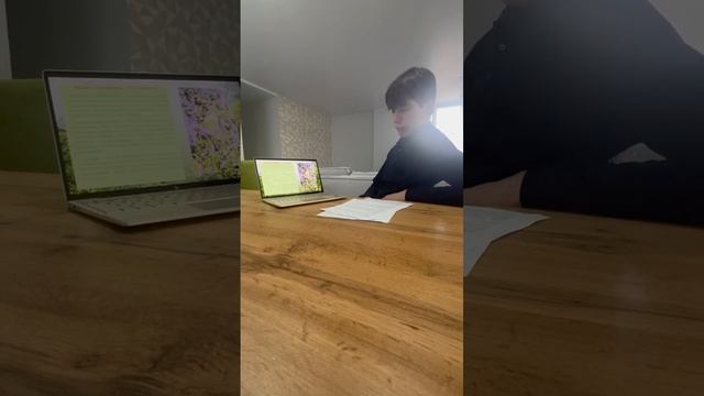 Ибрагимов Руслан «Исследование факторов уязвимости бабочки Аполлон» смотреть онлайн