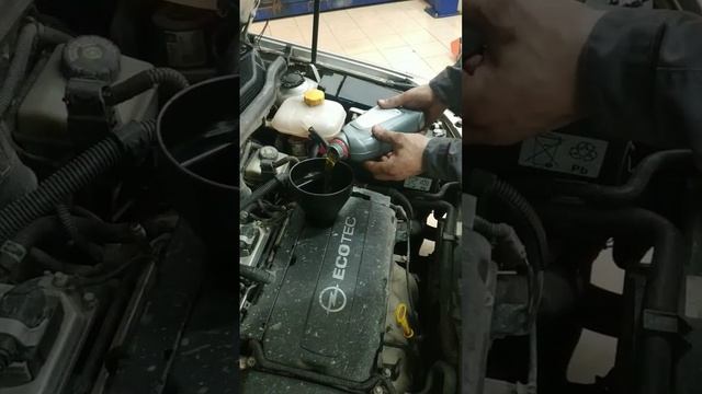 Заливаем масло Tamashi в мотор Z16xer Опель Астра H #2 #opel #opelastrah #опель #astra