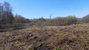 ГДЕ ДОБАВАЮТ НАСТОЯЩИЙ МЁД. КОЛОДЫ