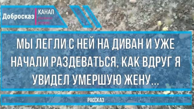 У неё во взгляде была такая мука, такая боль… на меня словно ушат воды вылили! смотреть онлайн