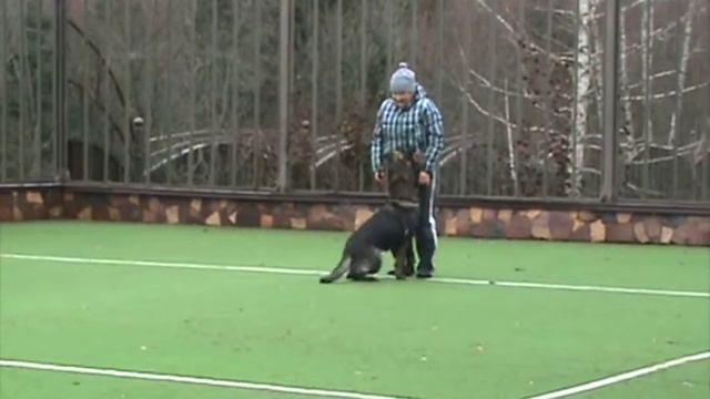 Ника фГШ 13 м смотреть онлайн