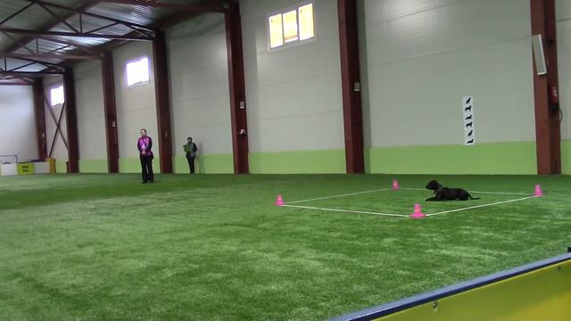 Афанасова Майя Стаф бул Amurski Strazh Germiona Granger оби 3 Кубок Санкт-Петербурга 10.02.18 смотреть онлайн
