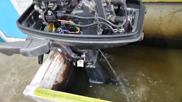 Лодочный мотор Suzuki 5 л.с лот 21 смотреть онлайн